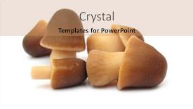  Presentation with straw - PPT theme having paddy-straw-mushrooms background and a coral colored foreground