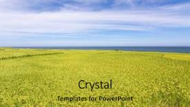  Presentation with paddy field - Beautiful slide deck featuring paddy terrace farm near backdrop and a gold colored foreground