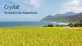  Presentation with paddy field - PPT theme having paddy terrace farm near background and a light blue colored foreground