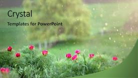  Presentation with transylvania - Cool new slide deck with paeonia tenuifolia in transylvania romania backdrop and a mint green colored foreground