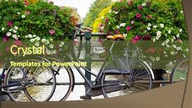  Presentation with canal panama - Colorful PPT theme enhanced with paesi bassi - traditional dutch bicycles parked backdrop and a tawny brown colored foreground