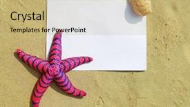  Presentation with page border - Amazing PPT theme having page border - sea frame with starfishes backdrop and a  colored foreground