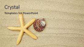  Presentation with beach frame - PPT theme having page border - starfish and shells with frame background and a soft green colored foreground