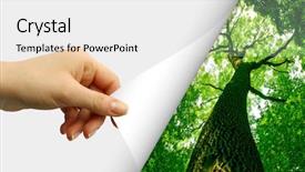  Presentation with blank - Presentation theme enhanced with page curl - card blank in a hand background and a white colored foreground