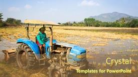  Presentation with rice field - 