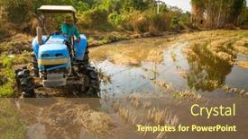  Presentation with rice field - 