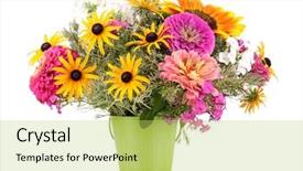  Presentation with sunflower sunflower sunflower sunflower sunflower - Slide set enhanced with pail isolated on white background and a  colored foreground