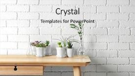  Presentation with paint white brick wall - Cool new slides with paint garden - succulents on wooden table backdrop and a white colored foreground