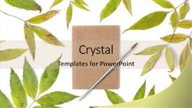  Presentation with green leaves - Slide deck with paintbrush sketchbook and green leaves background and a coral colored foreground