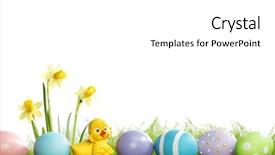  Presentation with chick - Audience pleasing PPT theme consisting of painted easter eggs chick and flowers over white background backdrop and a white colored foreground