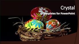  Presentation with bird eggs - Theme consisting of painted easter eggs in bird's nest over black background background and a wine colored foreground