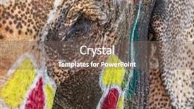  Presentation with elephants - Colorful slide set enhanced with painted elephants eye close-up backdrop and a gray colored foreground