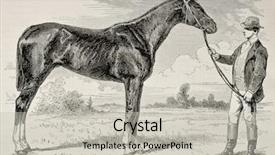  Presentation with winner - Cool new PPT layouts with draw horses - old illustration of the earl backdrop and a light gray colored foreground