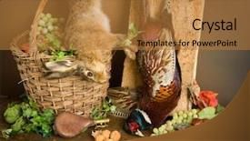  Presentation with hunting - Slide deck with chasse - antique old master hunting still background and a gold colored foreground