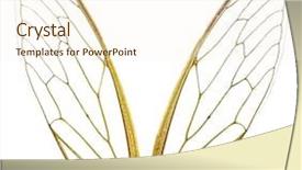  Presentation with fairy - Amazing PPT layouts having pair of cicada wings backdrop and a cream colored foreground