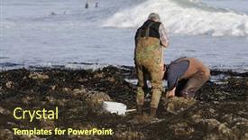  Presentation with clam - Cool new presentation with  backdrop and a  colored foreground