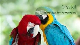  Presentation with parrots - Presentation theme featuring acronyms definition on the notebook background and a coral colored foreground.