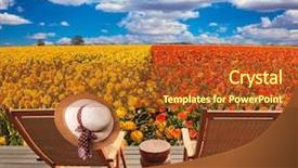  Presentation with flower elegant - Slide deck featuring pair of convenient chaise lounge next to flower field elegant women's straw hat hanging on a deck chair concept of recreational tourism background and a tawny brown colored foreground