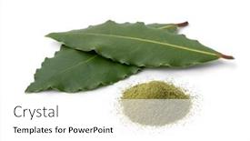  Presentation with pair - PPT layouts enhanced with pair-of-fresh-bay-leaves background and a white colored foreground