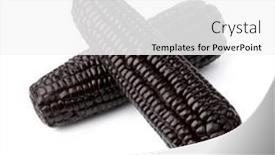  Presentation with corn cob - PPT theme with pair-of-fresh-cooked-black background and a white colored foreground