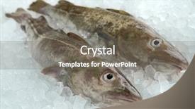  Presentation with top view of fresh fish - Presentation theme enhanced with catch up - pair of fresh raw cod background and a gray colored foreground