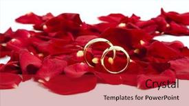  Presentation with golden wedding - Colorful slide deck enhanced with pair of golden wedding rings on red rose petals backdrop and a crimson colored foreground