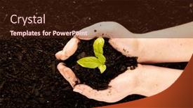  Presentation with dark green - Presentation design with pair-of-hands-cupping-green background and a wine colored foreground