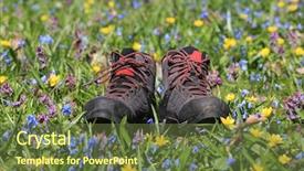  Presentation with wild flower in field of daisies - Slides enhanced with pairs - pair of hikers boots background and a tawny brown colored foreground