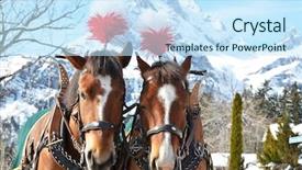  Presentation with horses - Slide set having pair of horses background and a sky blue colored foreground