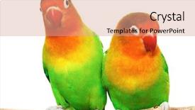  Presentation with pair of compass - Presentation design having aviation - small yellow helicopter in front background and a tawny brown colored foreground