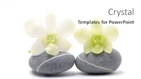  Presentation with zen stone - Slides consisting of pair of orchid on zen stone background and a white colored foreground