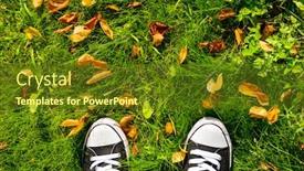  Presentation with green leaves - Amazing PPT theme having pair-of-sneakers-with-autumn backdrop and a tawny brown colored foreground