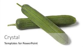  Presentation with pair - Audience pleasing PPT theme consisting of pair of whole fresh sponge gourds isolated on white background backdrop and a white colored foreground