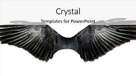  Presentation with pair - PPT layouts enhanced with pair of wings isolated background and a white colored foreground