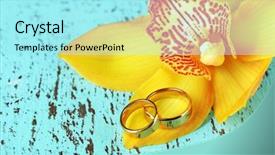  Presentation with flower wedding - Cool new presentation with snow surface background backdrop and a light gray colored foreground