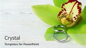  Presentation with flower wedding - Amazing presentation having pair yellow orchids - wedding rings and orchid flower backdrop and a white colored foreground