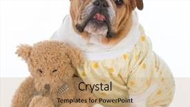  Presentation with bed - Audience pleasing slide deck consisting of pajamas - concept of putting the dog backdrop and a coral colored foreground