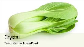 Presentation with cabbage - Colorful theme enhanced with pak china - beautiful bok choy chinese cabbage backdrop and a soft green colored foreground