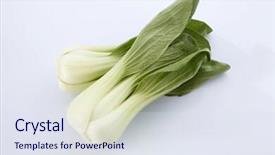  Presentation with stir fried bok choy - Amazing theme having pak china - bok choy isolated on white backdrop and a  colored foreground