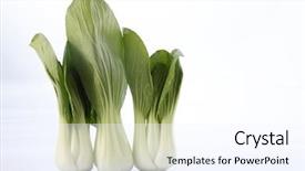  Presentation with stir fried bok choy - Cool new slides with pak china - bok choy isolated on white backdrop and a sky blue colored foreground