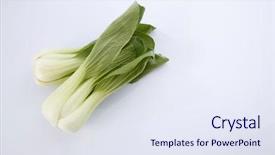  Presentation with stir fried bok choy - PPT layouts with pak china - bok choy isolated on white background and a  colored foreground
