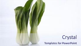  Presentation with stir fried bok choy - Slide deck featuring pak china - bok choy isolated on white background and a  colored foreground