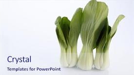  Presentation with stir fried bok choy - Slide deck with pak china - bok choy isolated on white background and a sky blue colored foreground