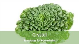  Presentation with green leaf - Theme with pak china - fresh harvested tah tsai lettuce background and a seafoam green colored foreground