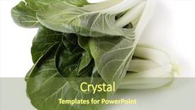  Presentation with heads - Slide deck with pak china - two heads of fresh bok background and a tawny brown colored foreground