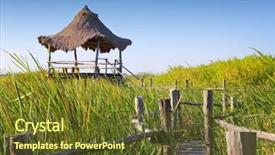  Presentation with wetlands - PPT layouts having palapa in mangrove reed wetland background and a tawny brown colored foreground