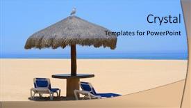  Presentation with seagull - Cool new presentation theme with palapa on a deserted beach a seagull sitting on top backdrop and a light blue colored foreground