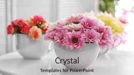  Presentation with flower office desk table - PPT layouts enhanced with pale peach - bouquets of flower in cup background and a light gray colored foreground