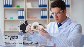  Presentation with laboratory animal science - Cool new slide deck with paleontologist looking at extinct animal backdrop and a light blue colored foreground