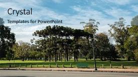  Presentation with green trees in park - Colorful PPT layouts enhanced with palermo park in argentina green backdrop and a light blue colored foreground